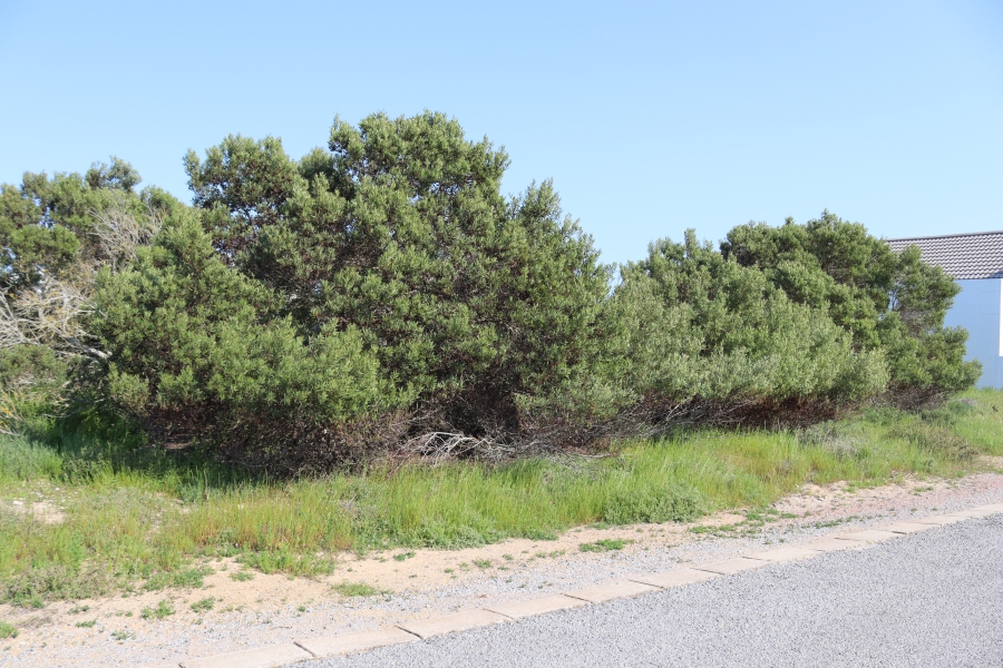 0 Bedroom Property for Sale in Shelley Point Western Cape